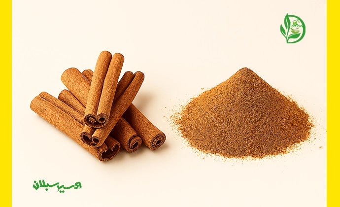 خرید دارچین با کیفیت ممتاز و اصل از برند اکسیر سبلان 