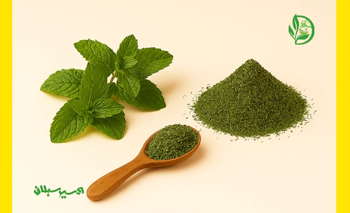 خرید نعناع خشک با کیفیت ممتاز و اصل از برند اکسیر سبلان 