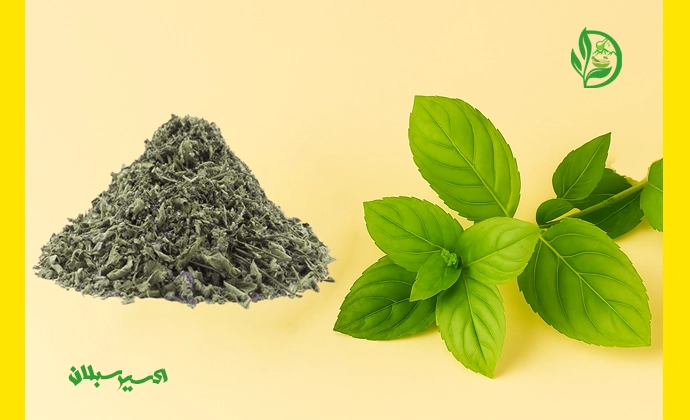 خرید پونه خشک با کیفیت ممتاز و اصل از برند اکسیر سبلان 