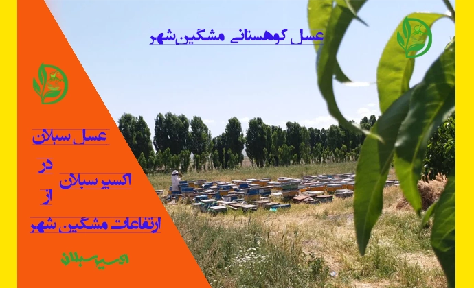 خرید عسل کوهستانی مشگین‌شهر با کیفیت ممتاز و اصل از برند اکسیر سبلان تصویر شماره 1
