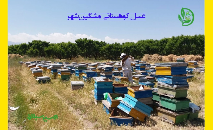خرید عسل کوهستانی مشگین‌شهر با کیفیت ممتاز و اصل از برند اکسیر سبلان تصویر شماره 2